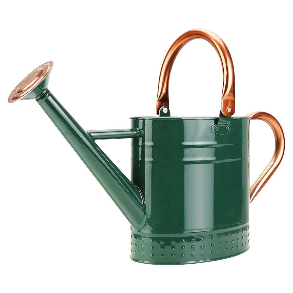 Galvanized Watering Can with Removable Spout (1 Gallon)