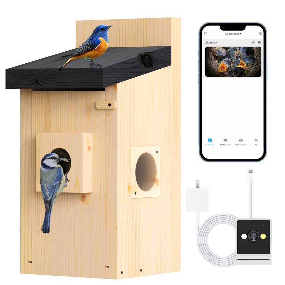 Camera-Equipped Smart Birdhouse 