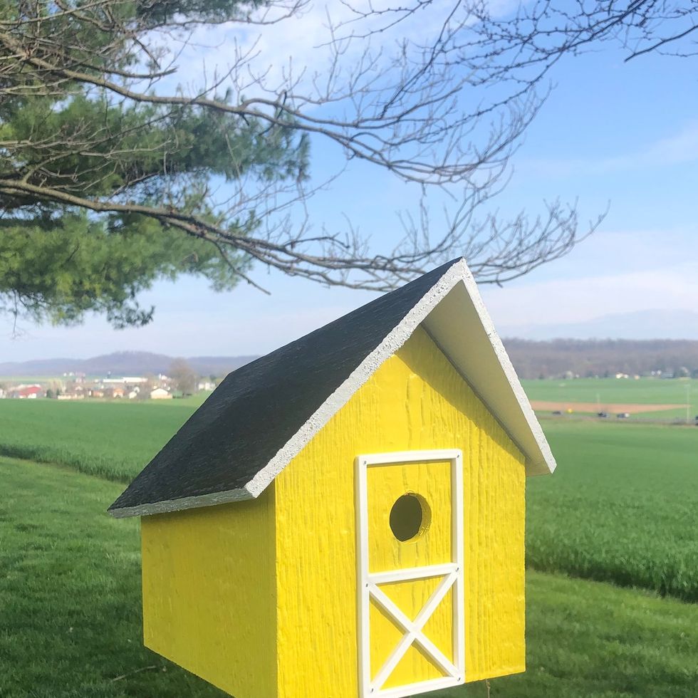 Yellow Barn Birdhouse