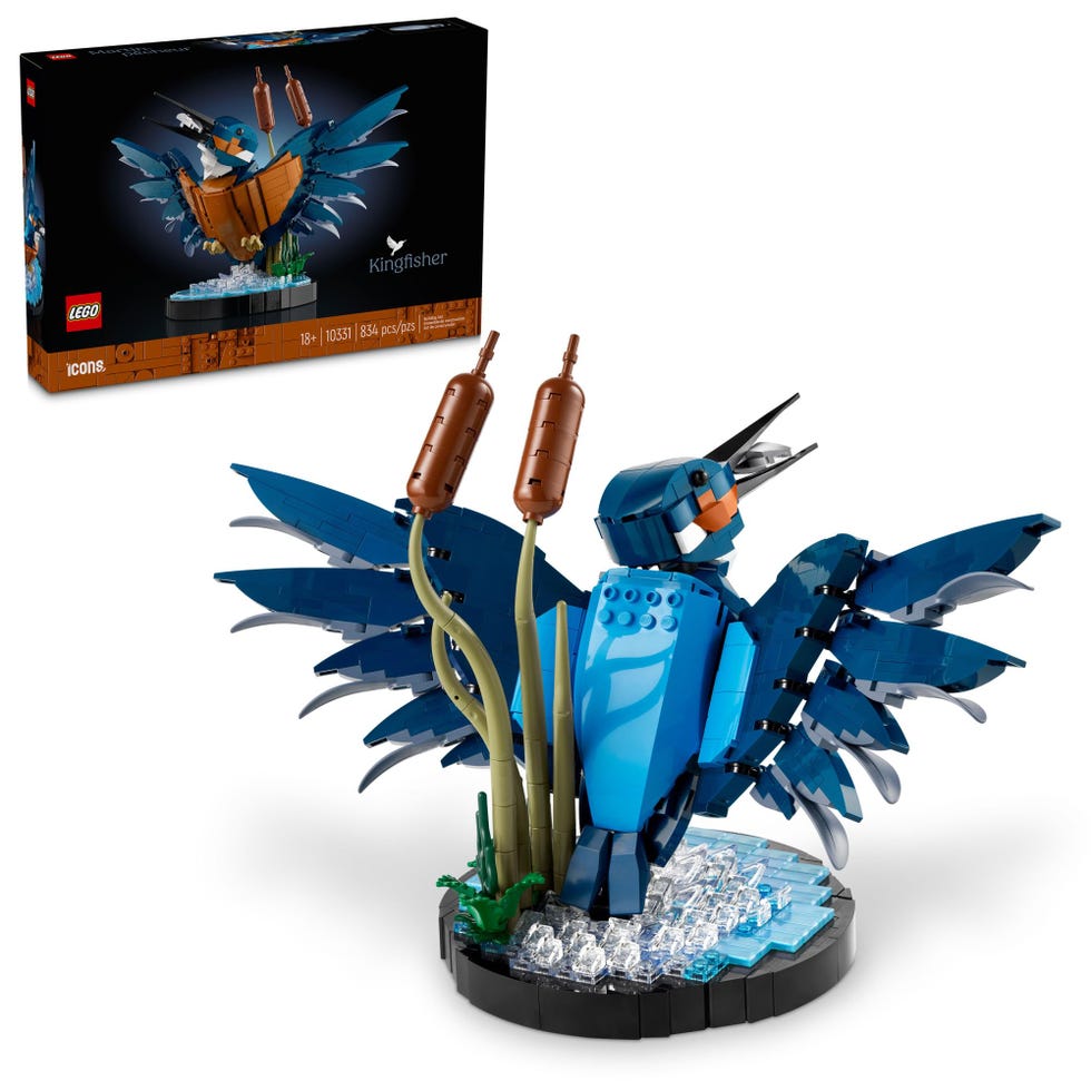 Icons Kingfisher