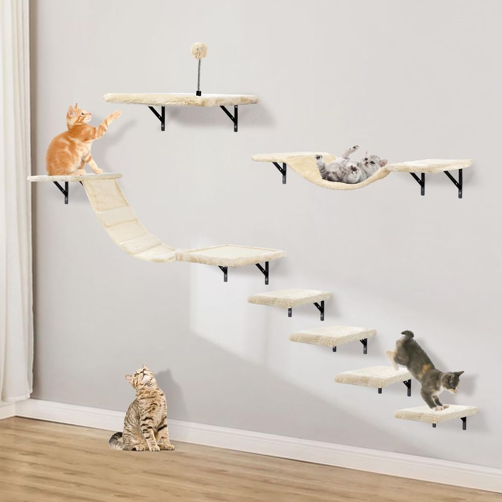 Set da parete per gatti