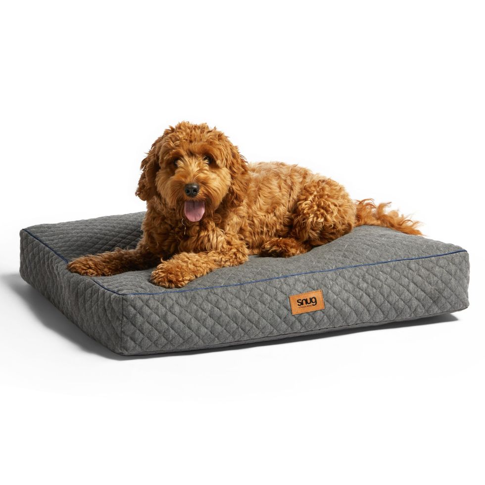 Eco-fibre Pet Bed