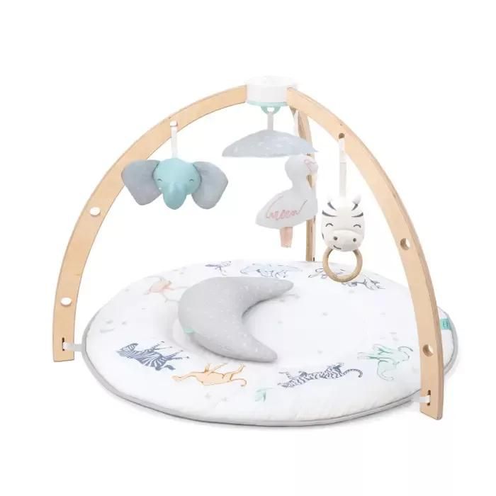 Play + Discover Activity Gym 