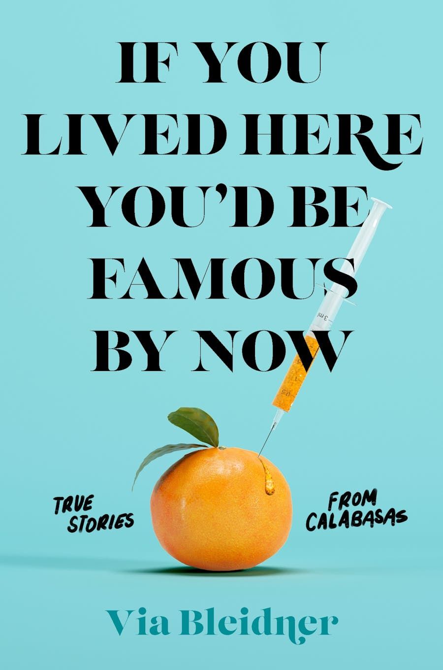 <i>If You Lived Here You’d Be Famous by Now</i> by Via Bleidner