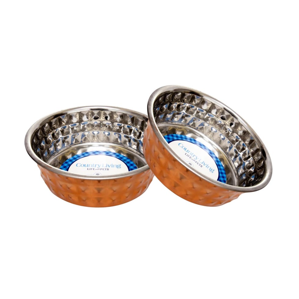 Eco Dog Bowls in Copper-Toned Hammered Stainless Steel