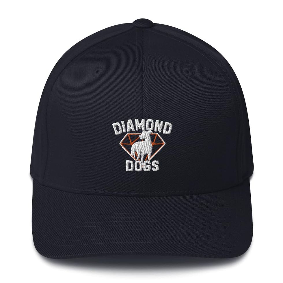 Gorro bordado 'Diamond Dogs' de Ted Lasso