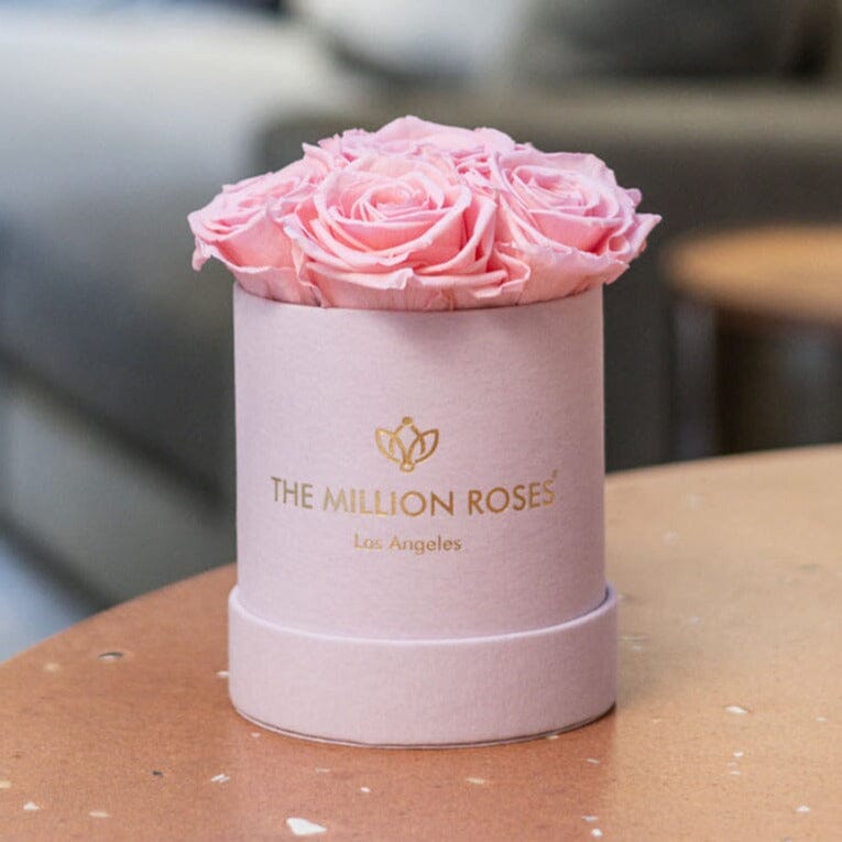 Preserved Pink Roses