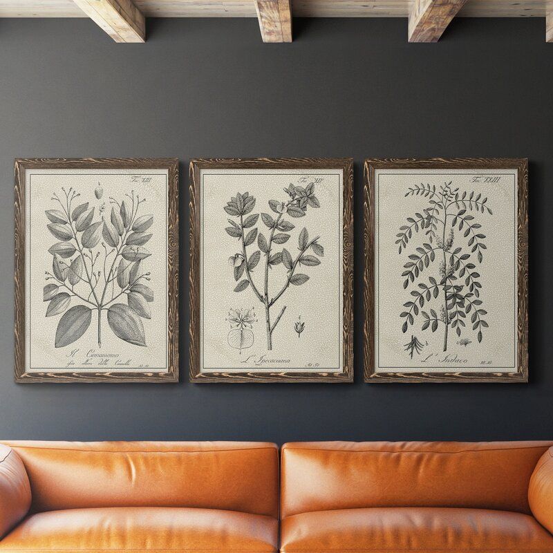 Antique Black and White Botanical VII - 3 Piece Picture Frame Drawing Print Set on Canvas