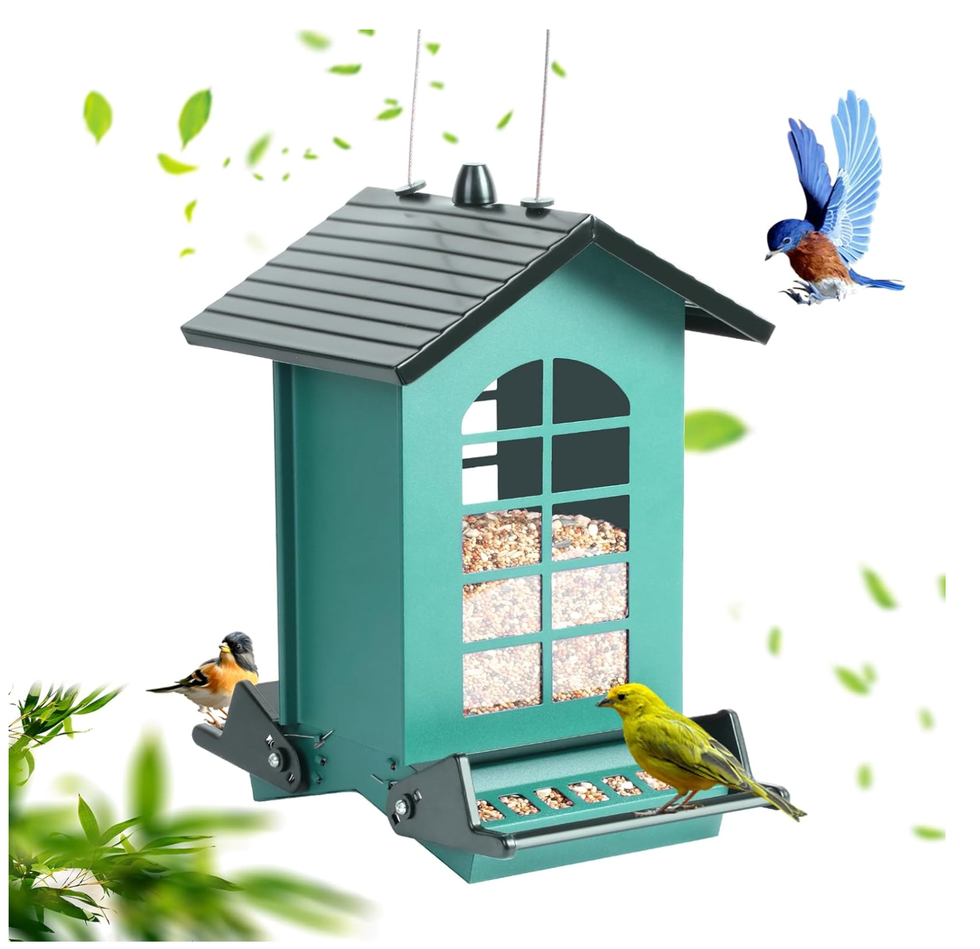 Window Bird Feeder