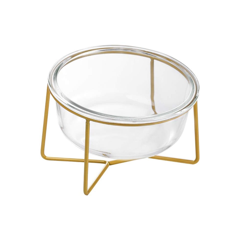 Comedero de vidrio con soporte