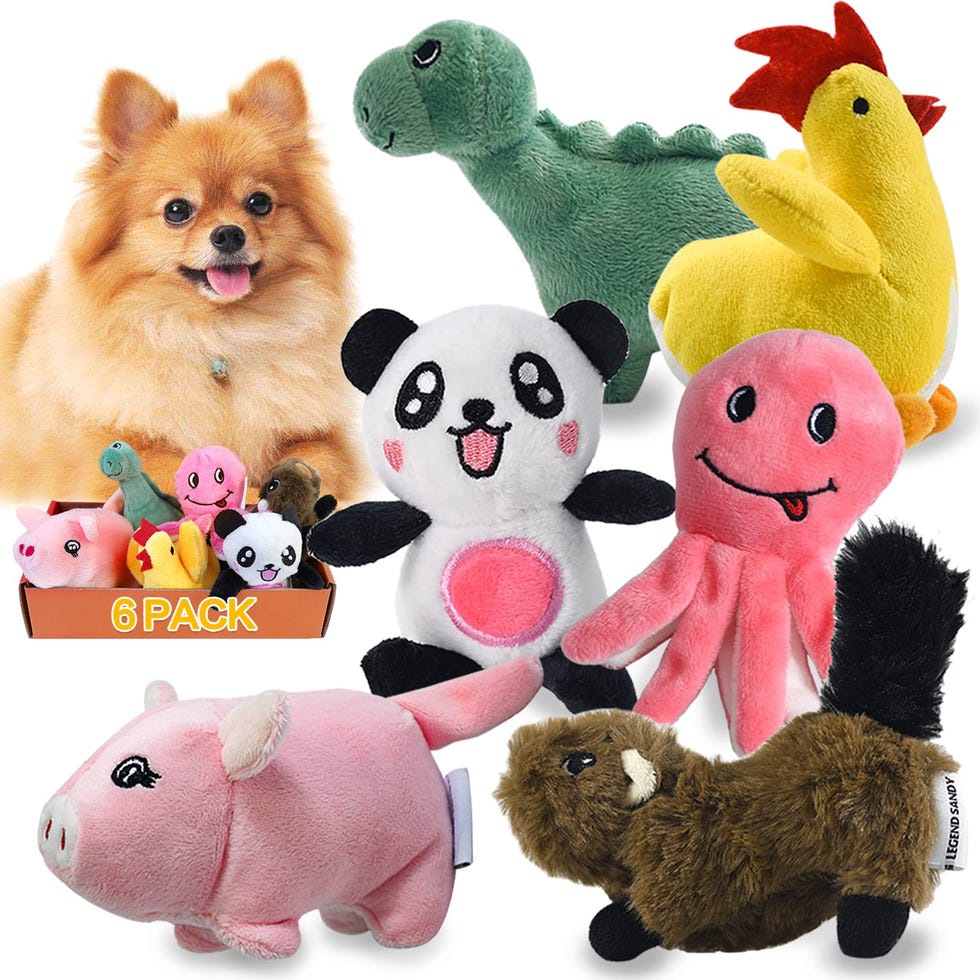 6 Peluches para cachorros