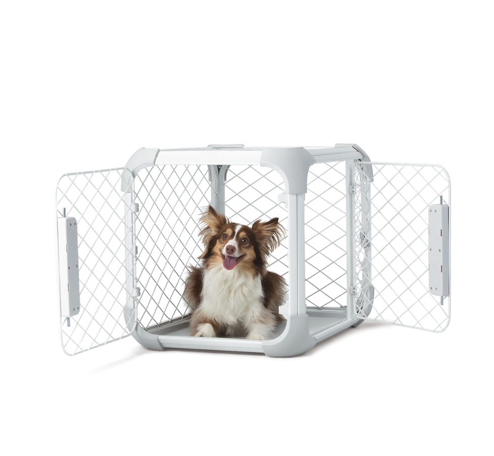 Caja plegable y resistente con malla