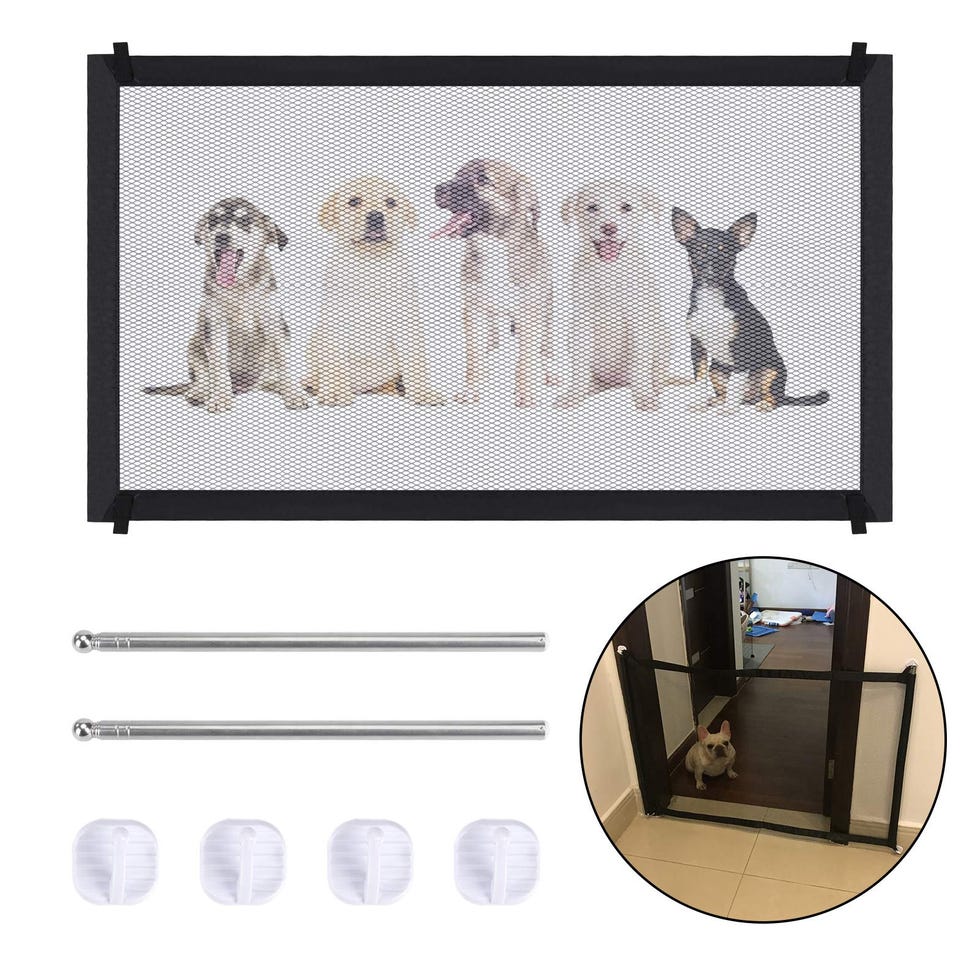 Puerta mágica para perros