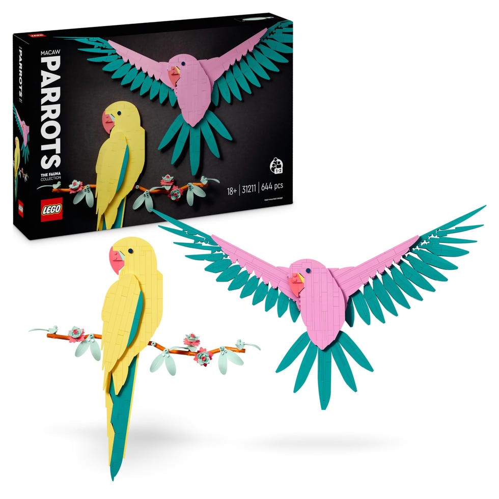 Art Colección Fauna: Guacamayos