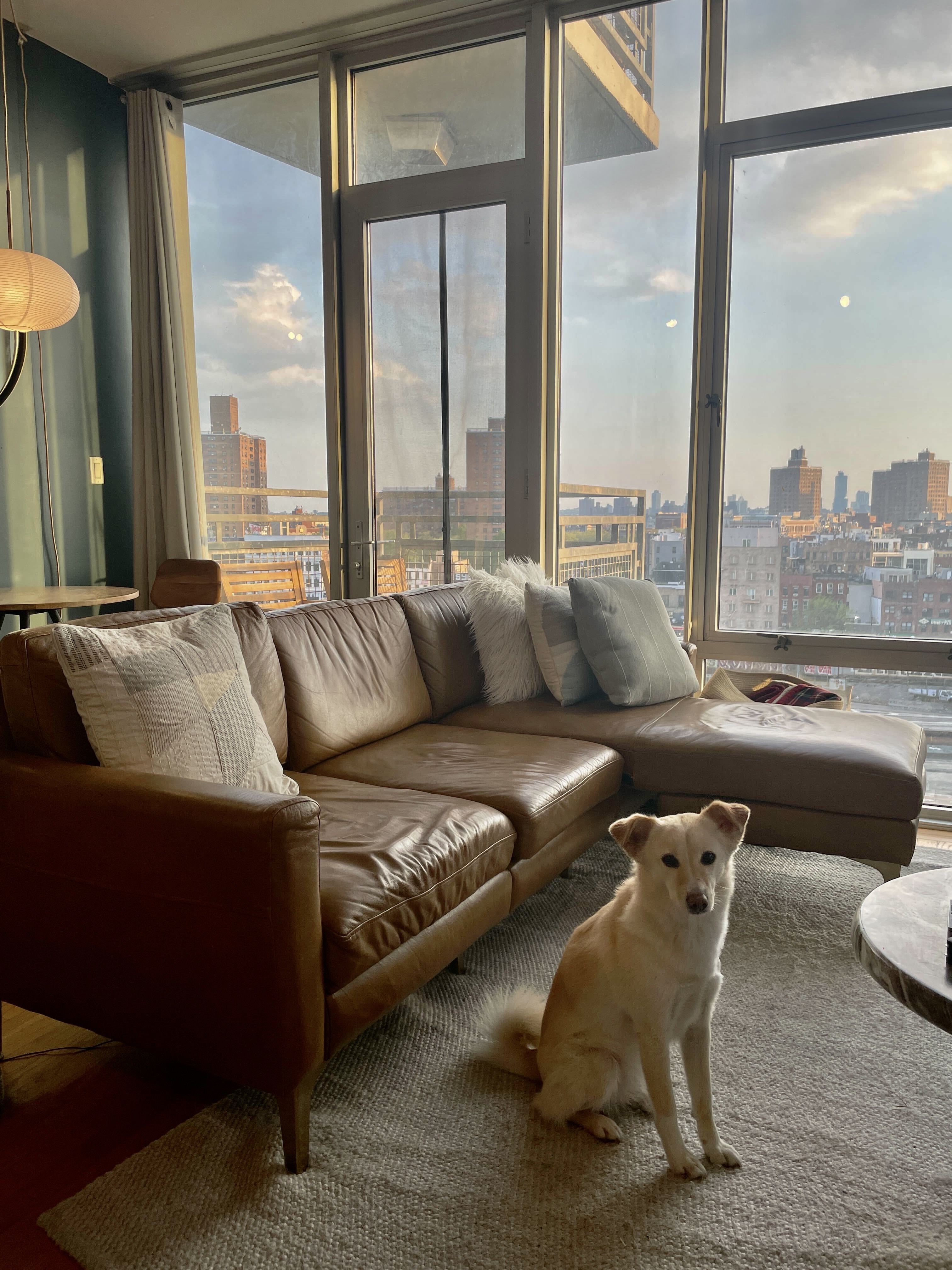 The 20 Best Couches of 2024 Tested and Reviewed