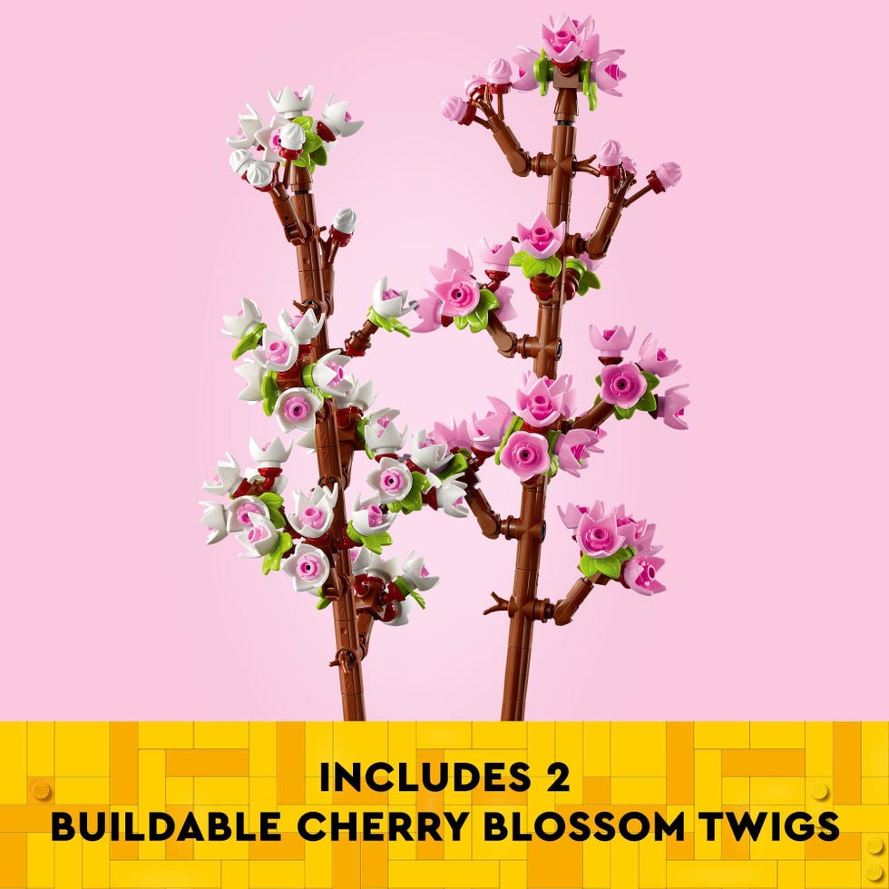 Cherry Blossoms Celebration Gift