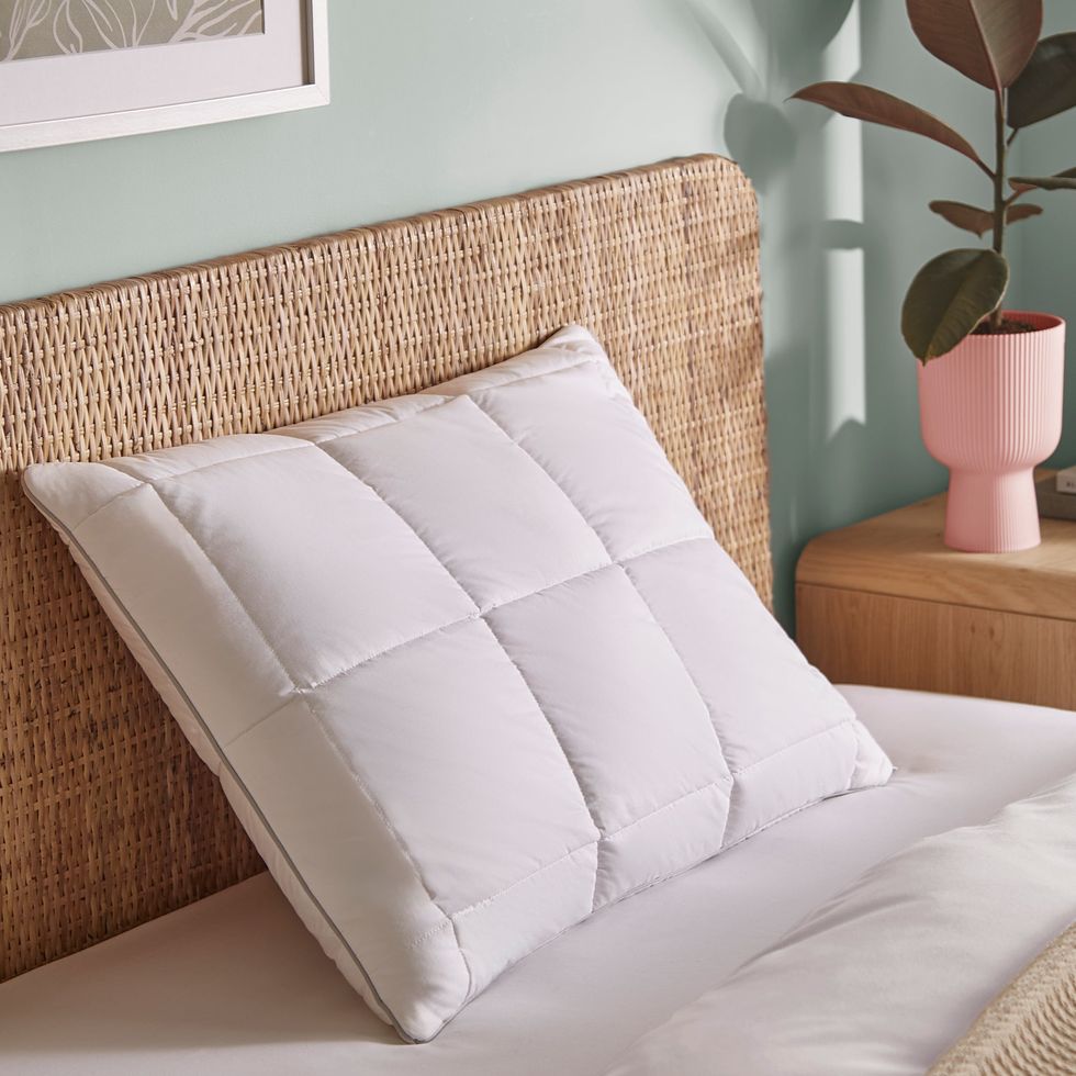 Fine Bedding Company Natural Latex Foam Pillow