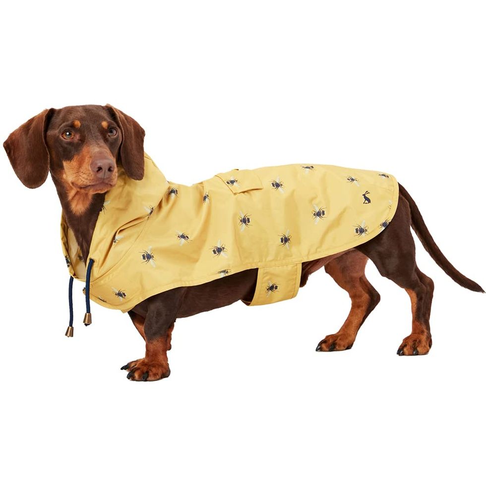 Rosewood Joules Go Lightly Packaway Jacket For Dogs, Small