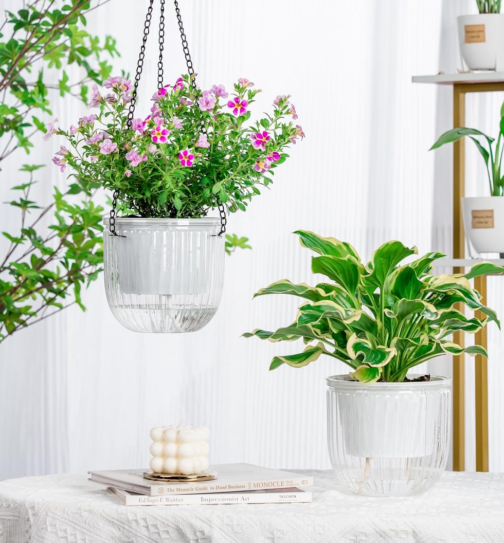 The 10 Best Self Watering Planters Of 2024 4123