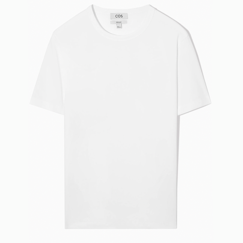 Regular Fit Midweight Brushed T-Shirt