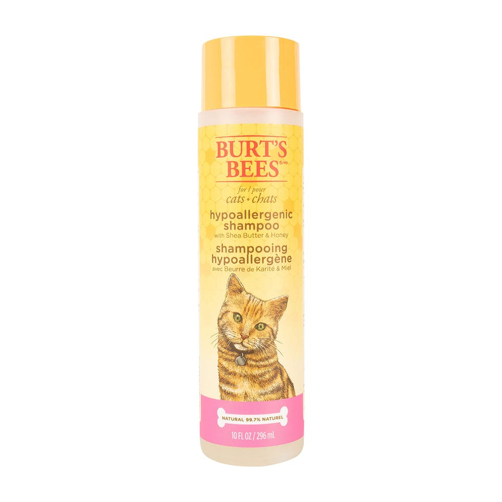 Champú para gato para aumentar la hidratación y el brillo del pelo 