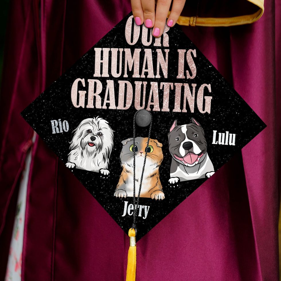Pet Graduation Cap