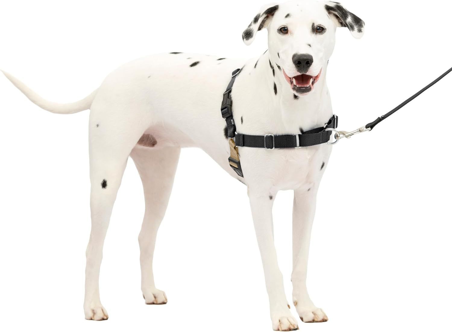 Jump restraint harness for dogs prevents jumping best sale