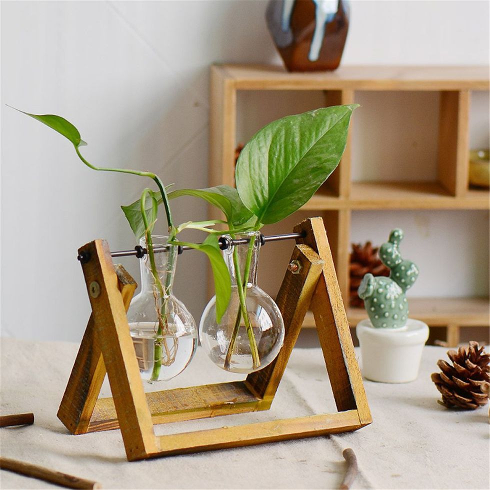 Plant Terrarium With Wooden Stand 
