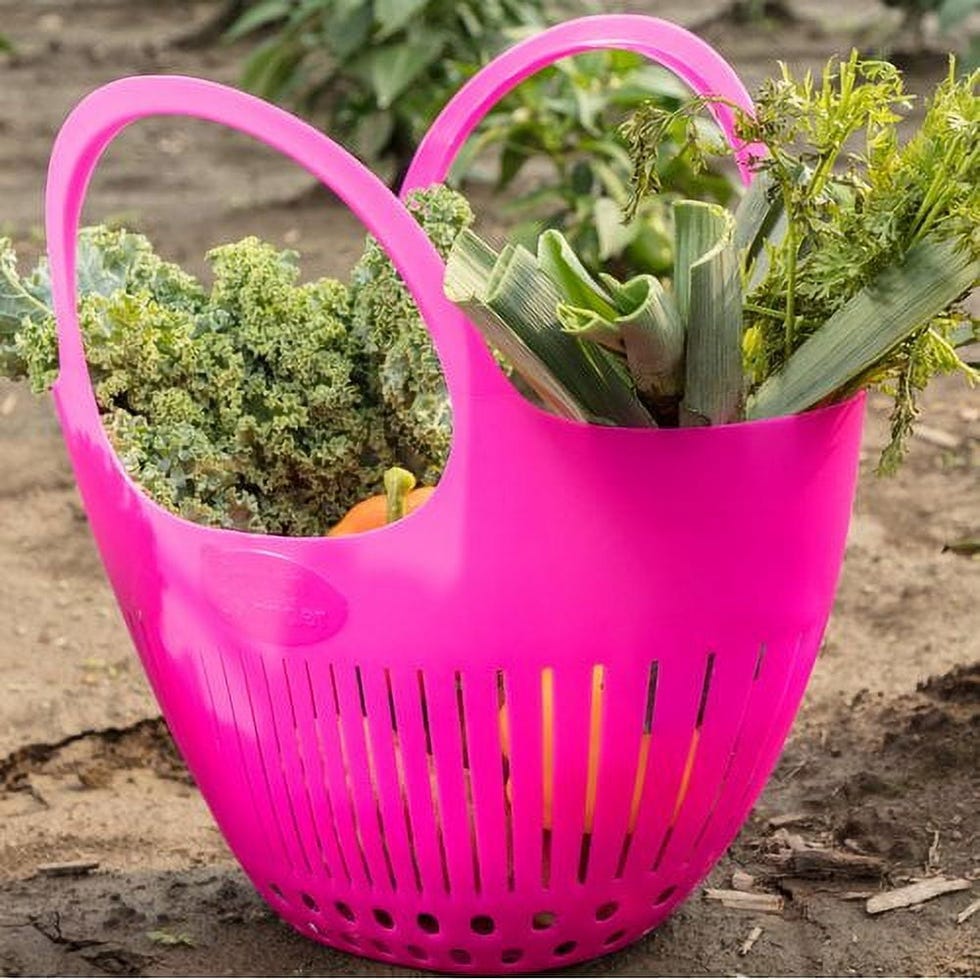 Harvest Plastic Colander