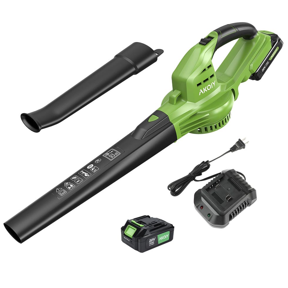  Cordless Battery-Powered Leaf Blower