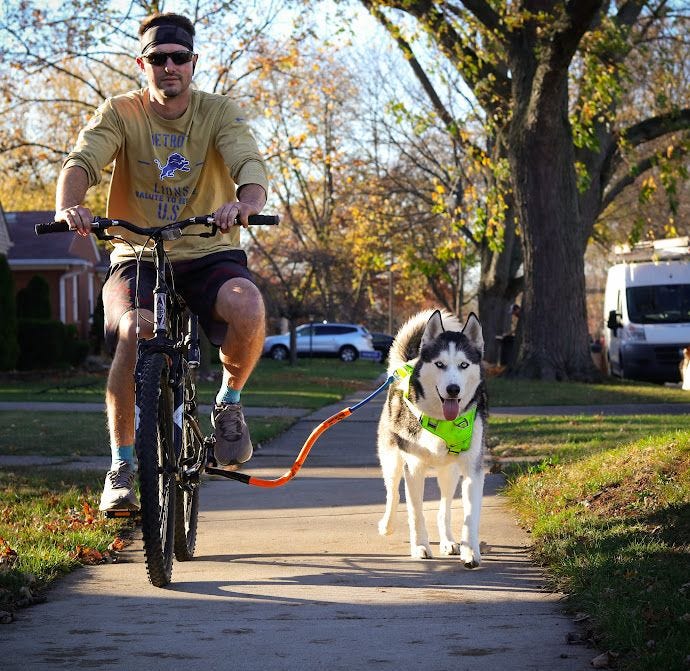 Bike Tow Leash