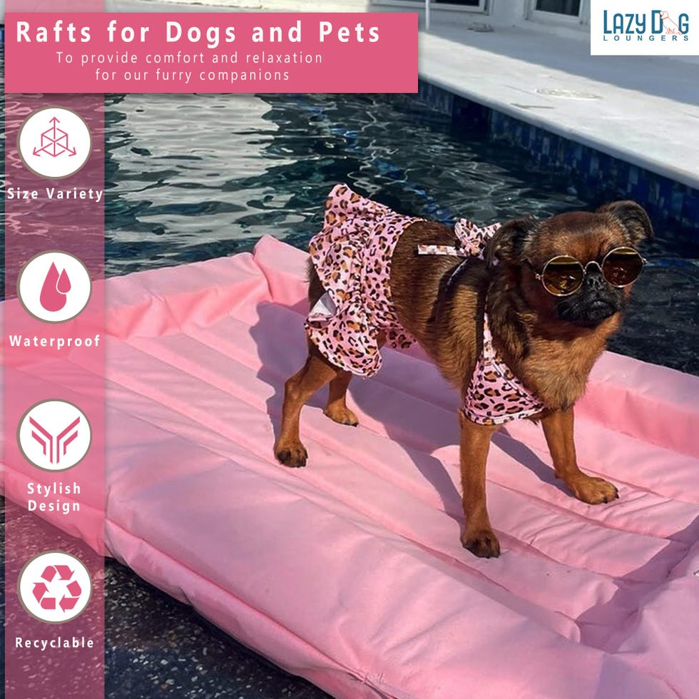 Dog Pool Float