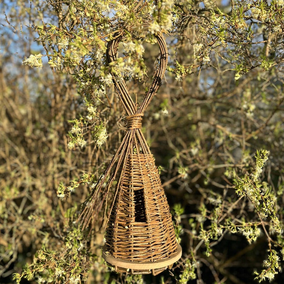 Willow Birdhouse Kit