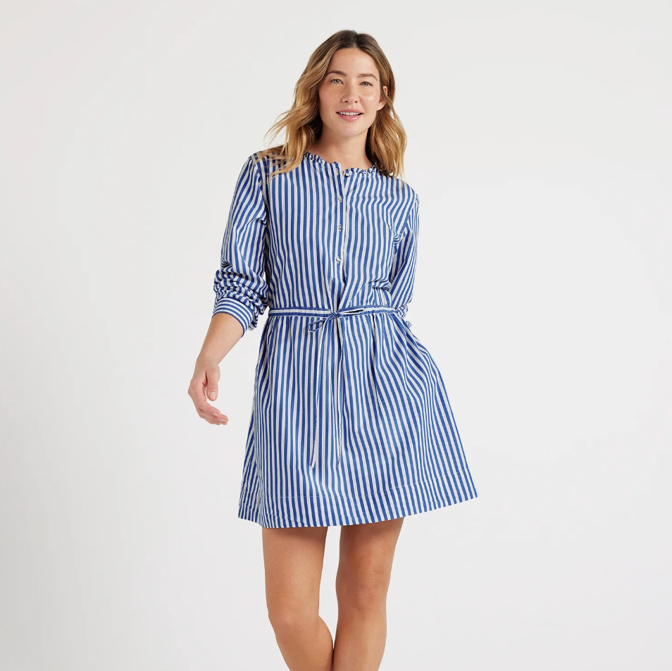 Striped Ruffle Neck Mini Dress