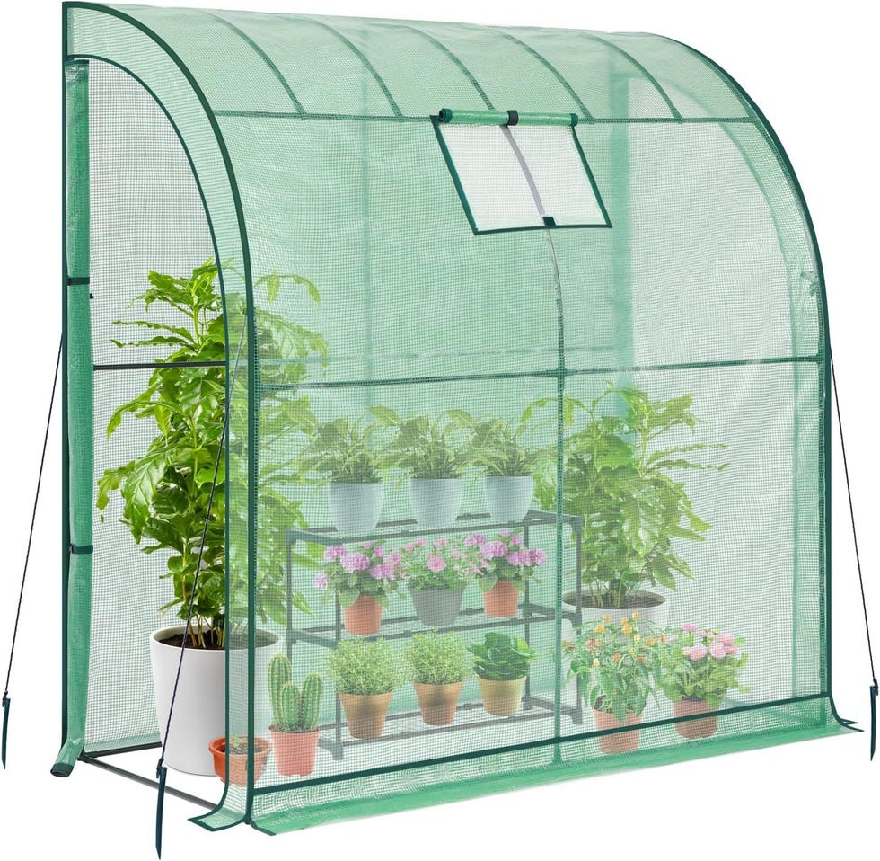 lean-to greenhouse