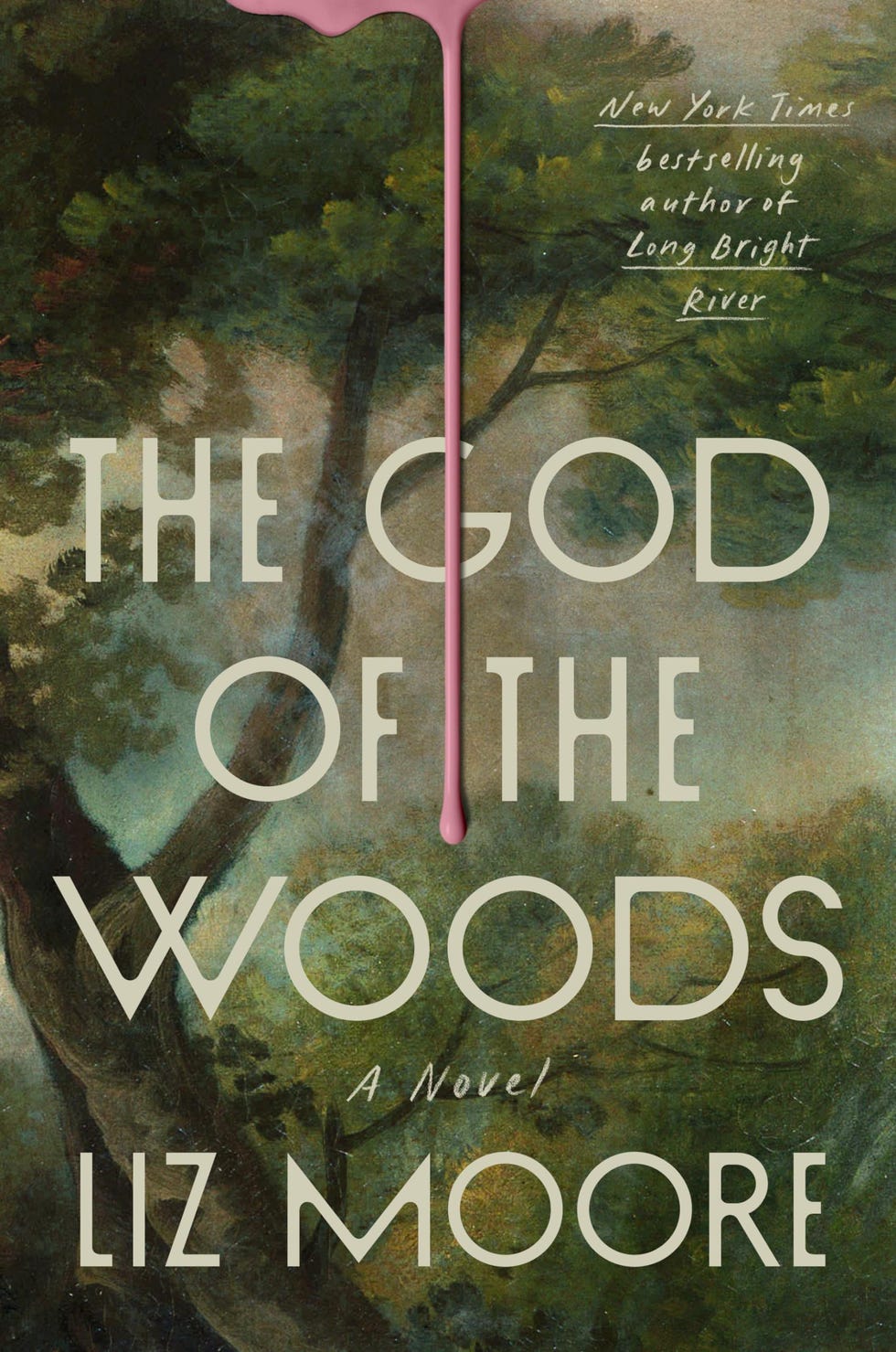 <i>The God of the Woods</i> by Liz Moore