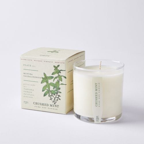 Crushed Mint Plant the Box Candle