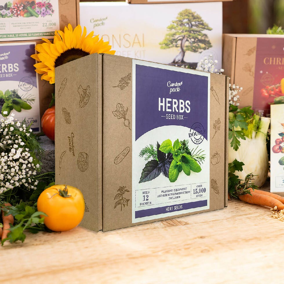 Herb seed box