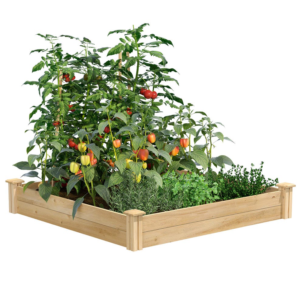 Greenes Fence Original Cedar Raised Garden Bed