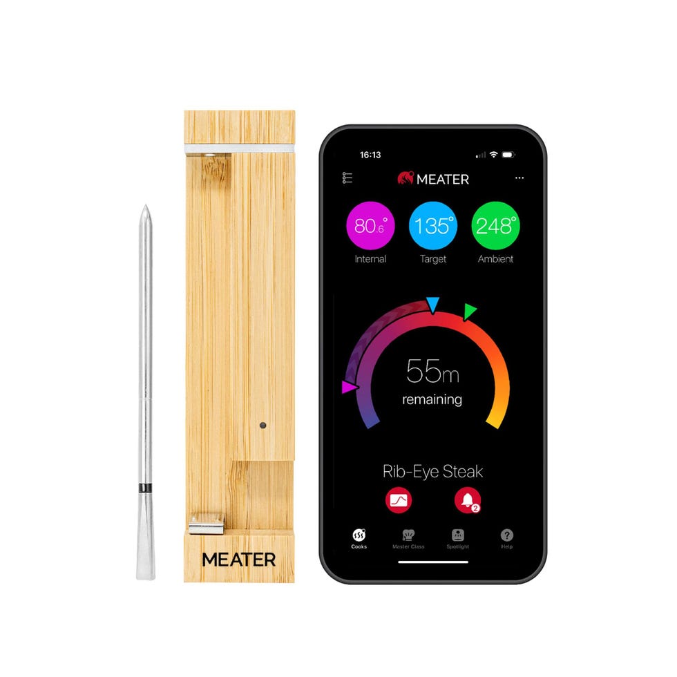 Pro Smart Thermometer