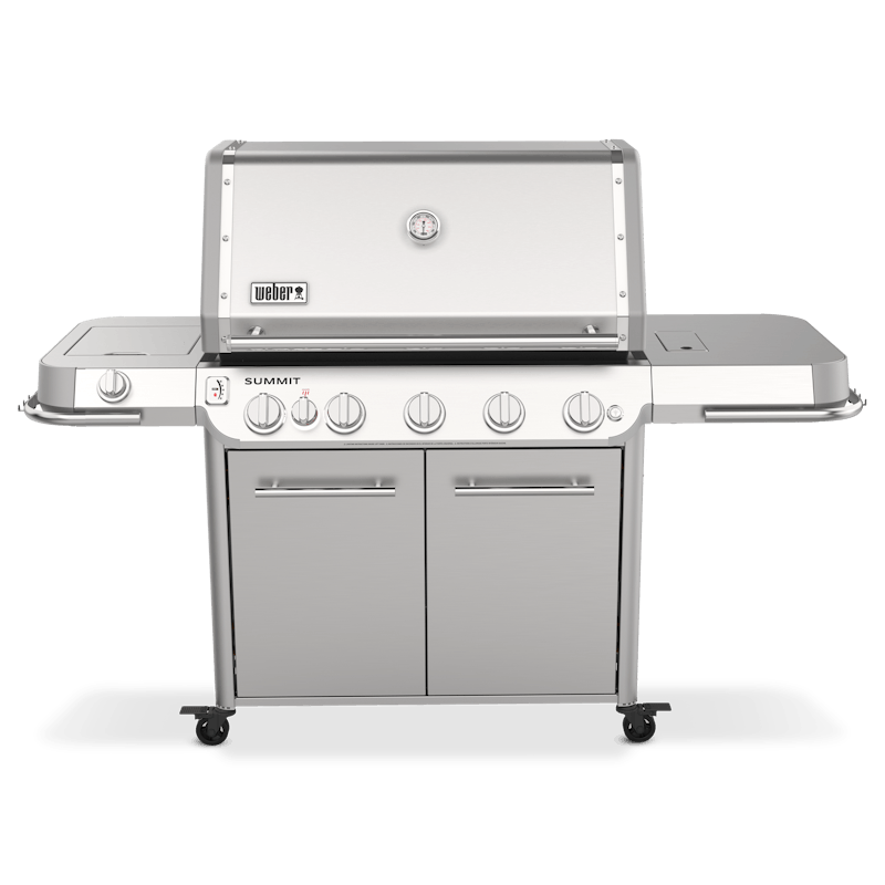 9 Best Weber Grills of 2024, Tested and Reviewed