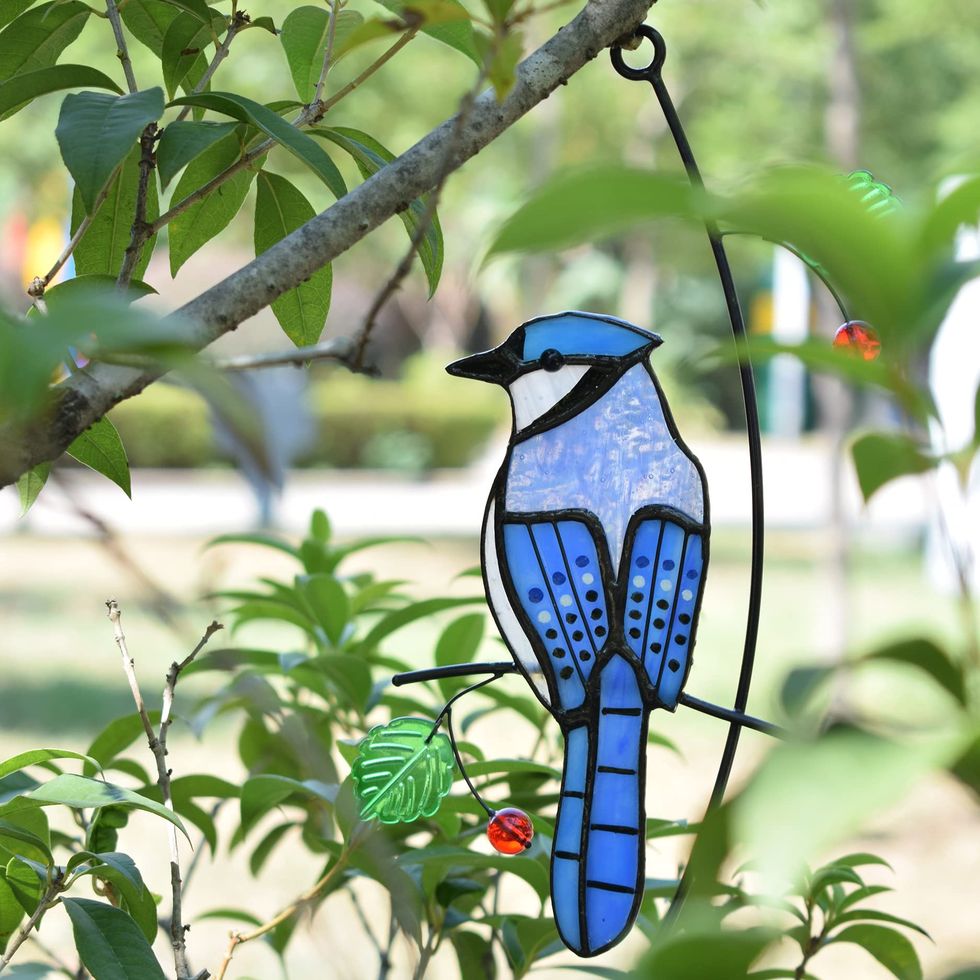Blue Jay Stained Glass Window Hanging