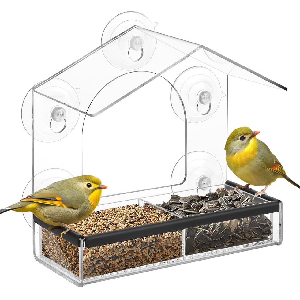 Window Bird Feeder