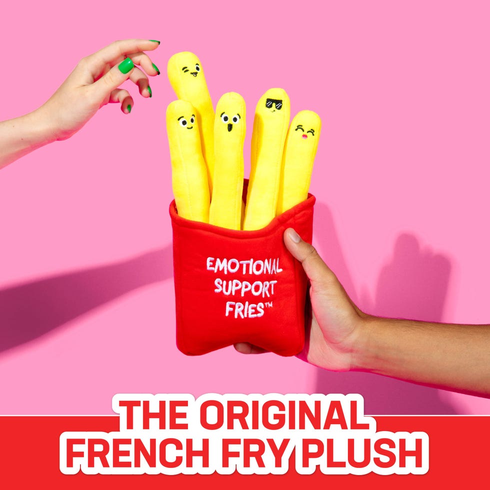 Emotional Support Fries 