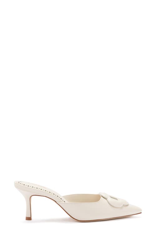 Flora Pointed Toe Mule Flora Pointed Toe Mule