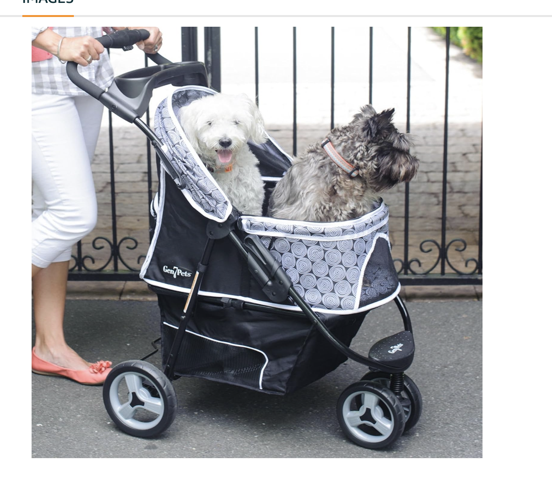 best baby stroller for dog walking