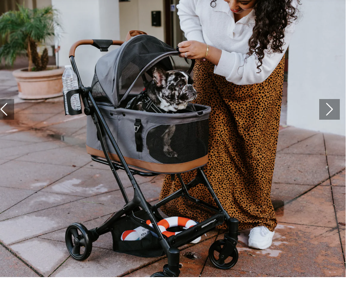 best baby stroller for dog walking