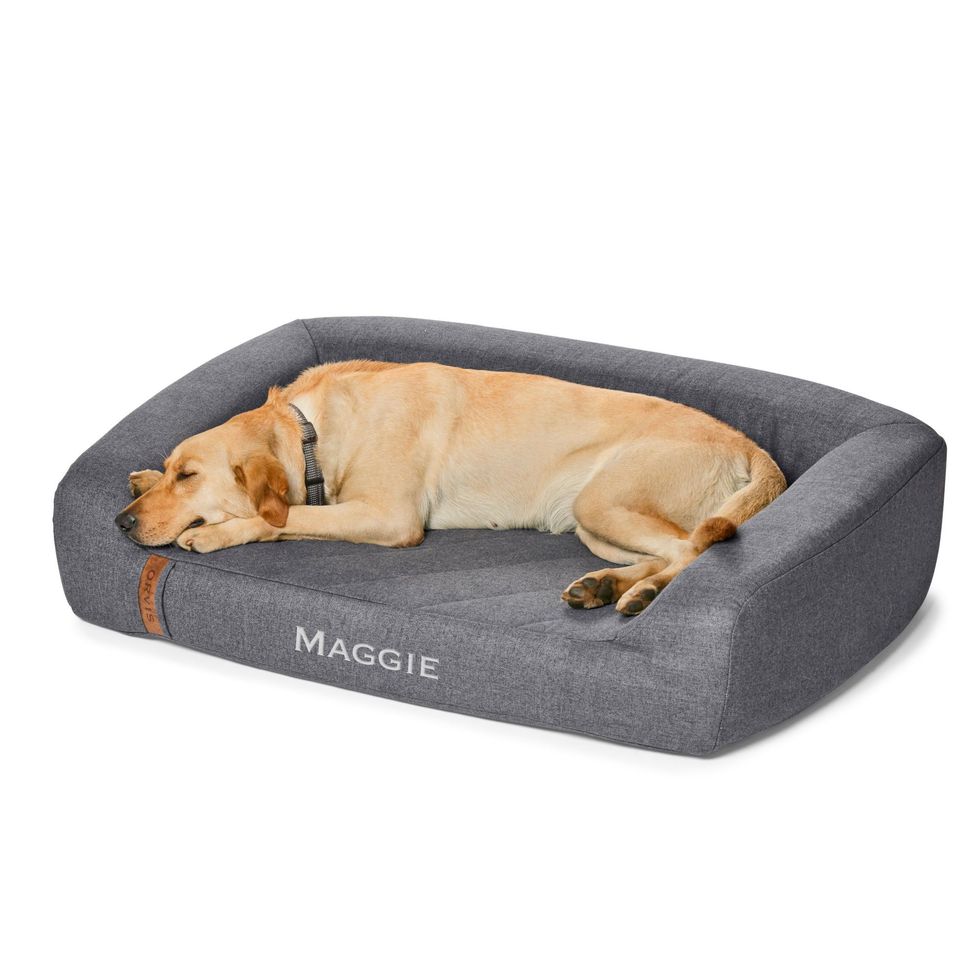 RecoveryZone Couch Dog Bed