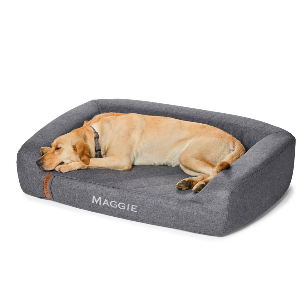 RecoveryZone Couch Dog Bed RecoveryZone Couch Dog Bed