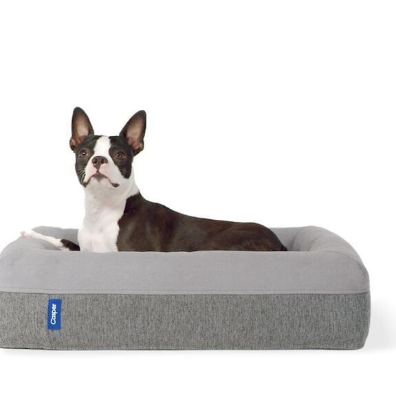 Memory Foam The Dog Bed